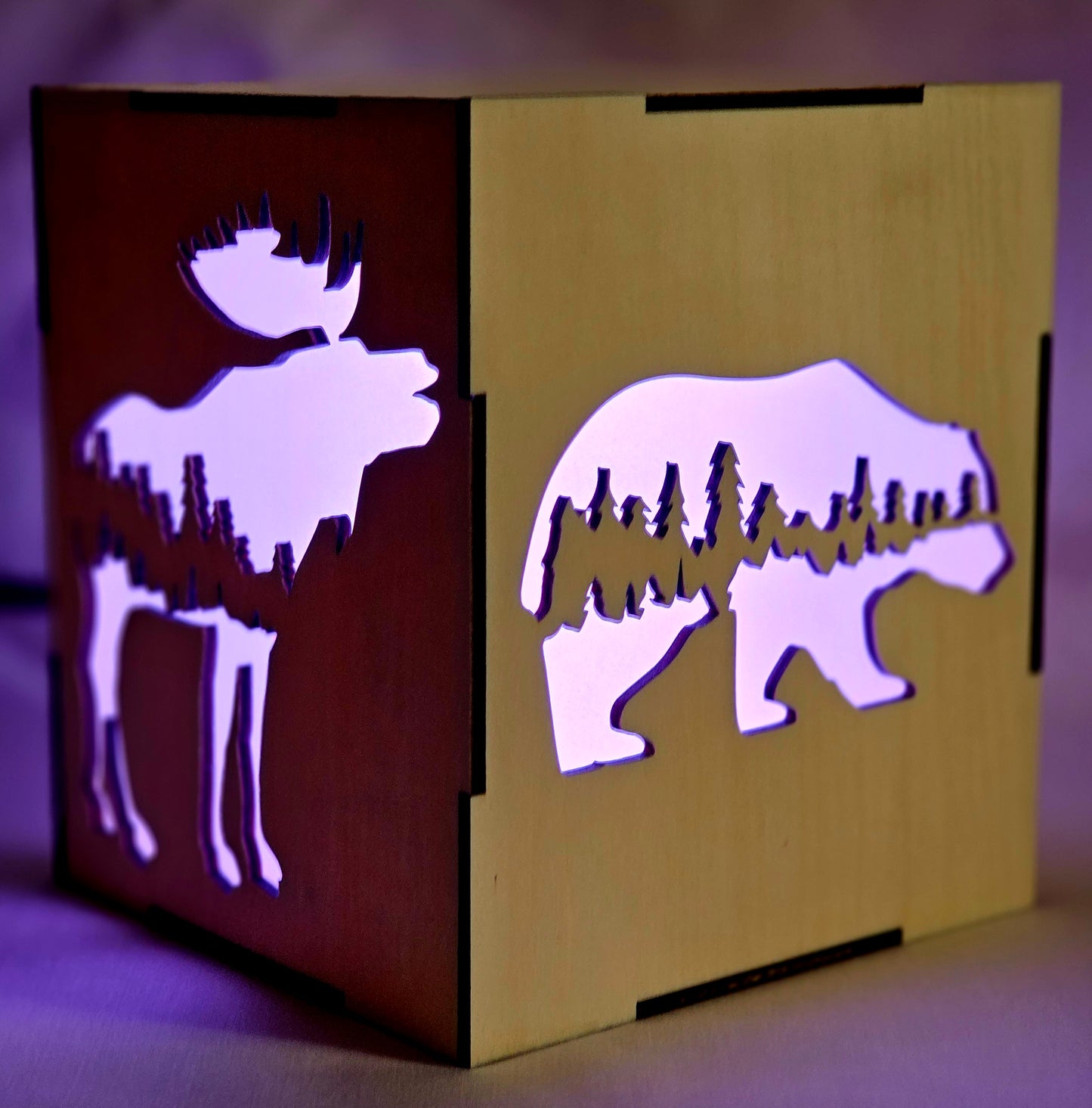 Multi-Color LED Light Box
