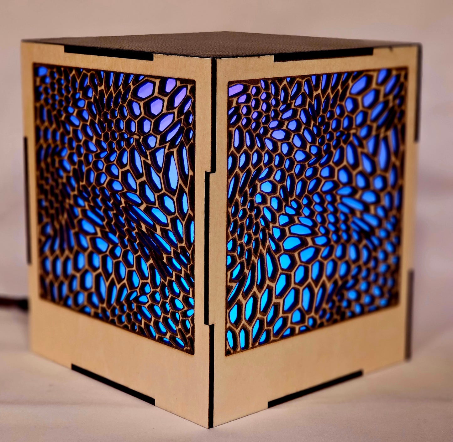 Multi-Color LED Light Box