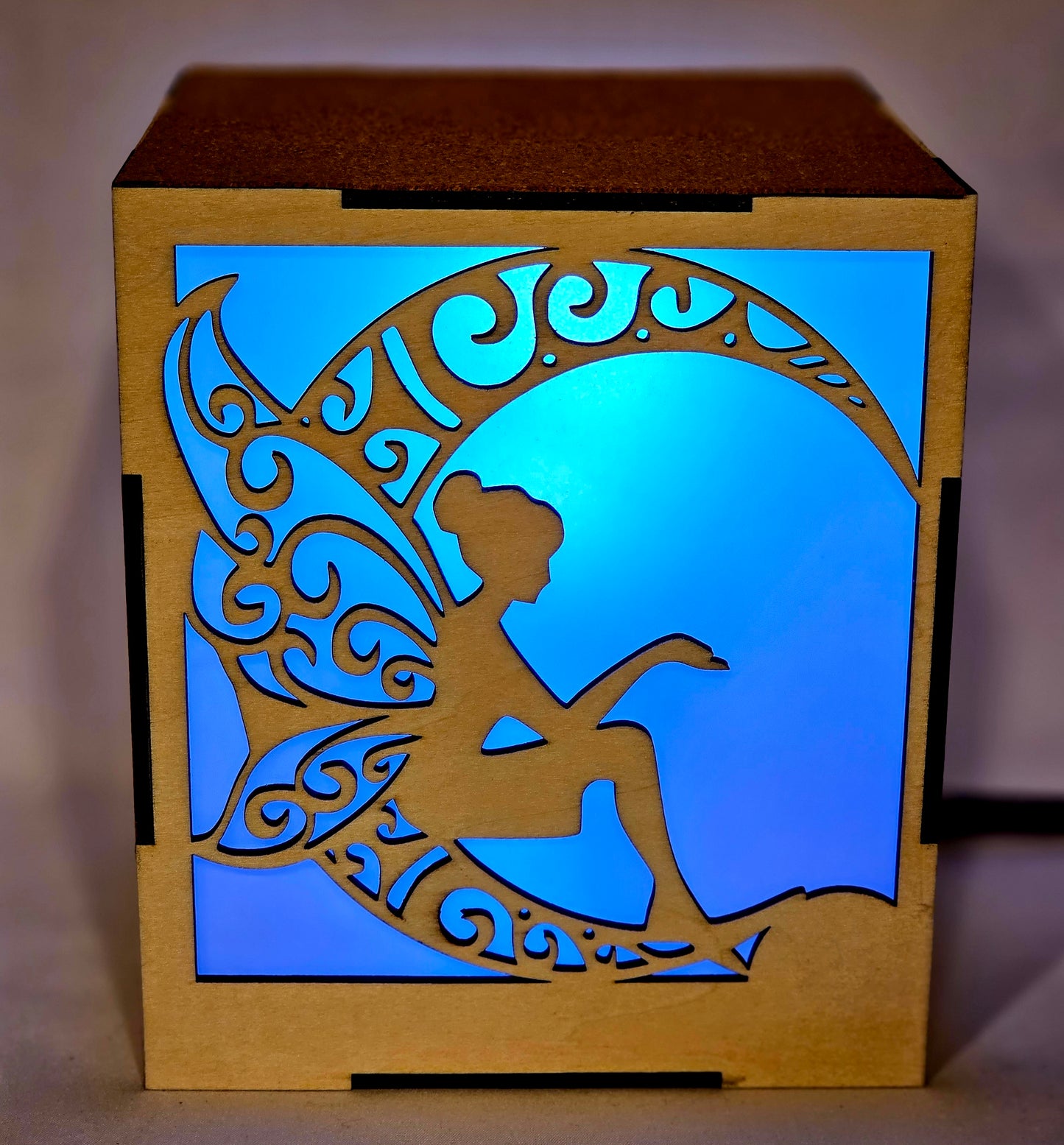 Multi-Color LED Light Box