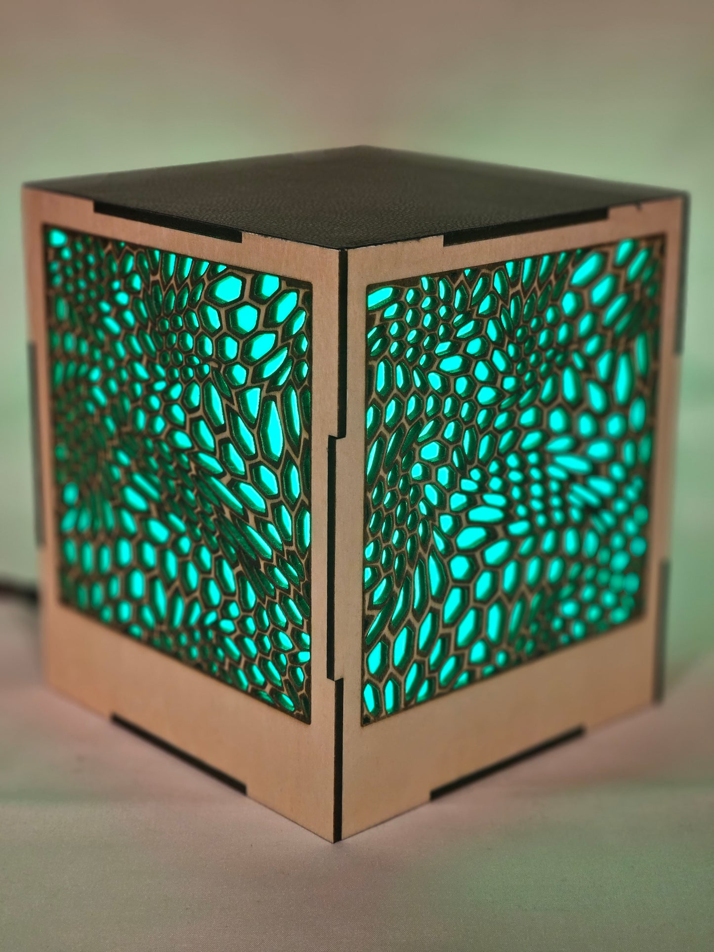 Multi-Color LED Light Box
